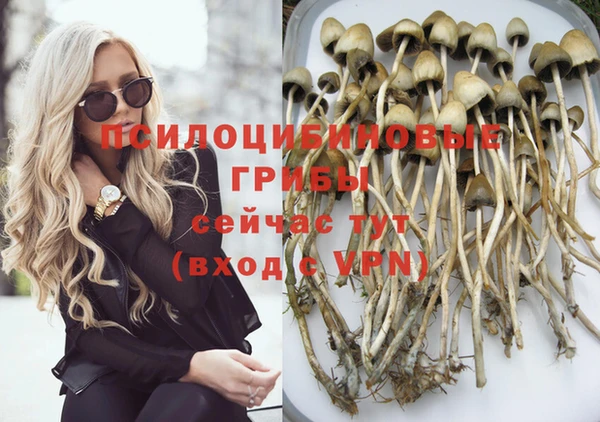 jwh Вяземский