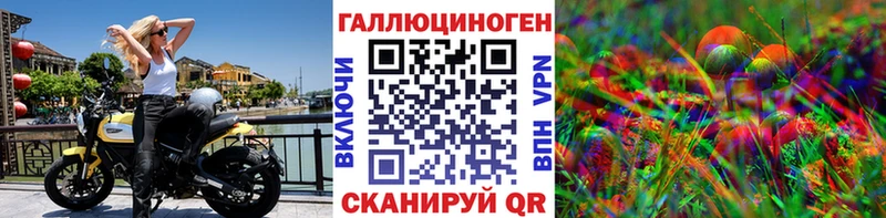 Галлюциногенные грибы Psilocybe  Черногорск 